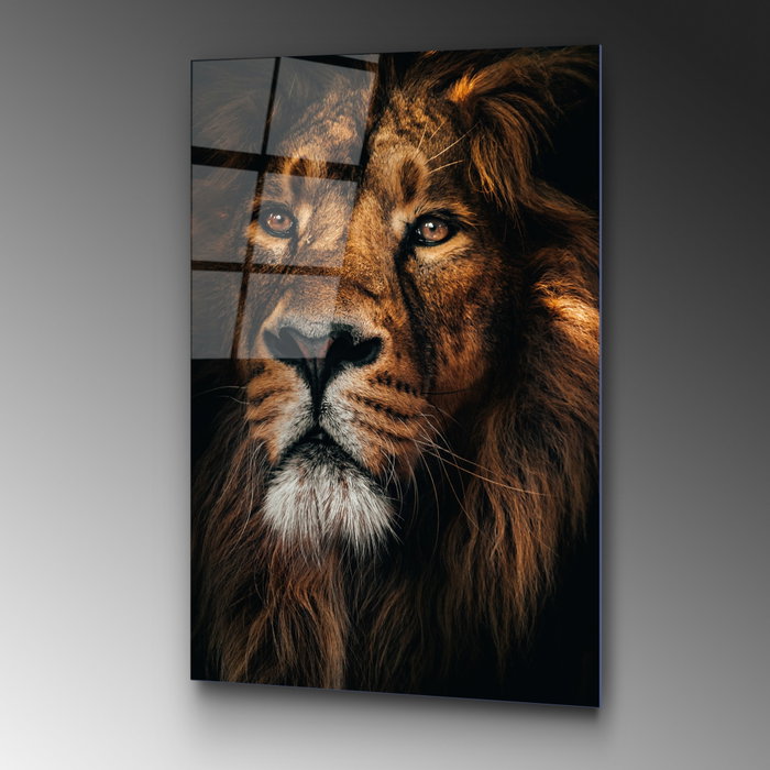 Wallity UV-159 Multicolor 70 x 100 cm